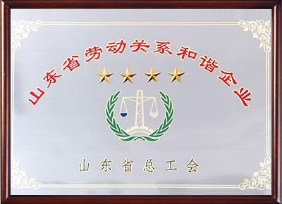 山東省勞動關系和諧企業